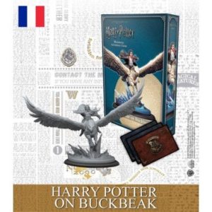 Harry Potter, Miniatures Adventure Game: Harry Potter sur Buck