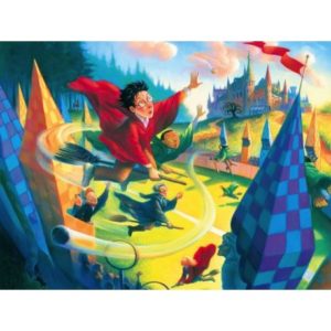 Puzzle 100 pièces Harry Potter - Quidditch Mini