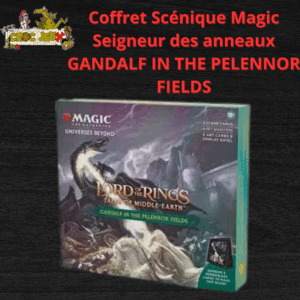 Coffret Scénique Magic Seigneur des anneaux GANDALF IN THE PELENNOR FIELDS