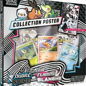 poster Noir/Blanc Pokémon