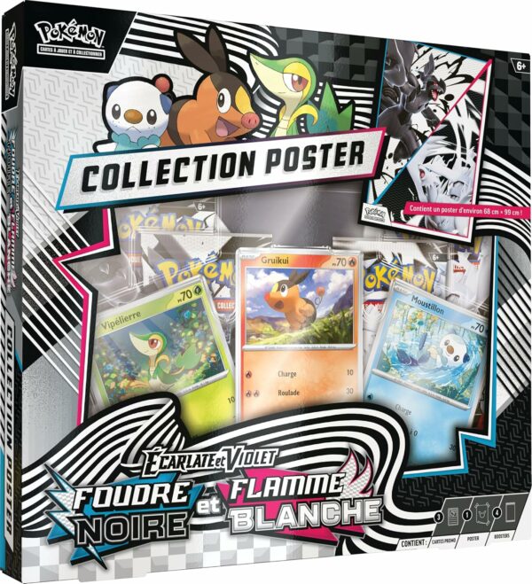 poster Noir/Blanc Pokémon